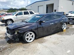 Salvage cars for sale at New Orleans, LA auction: 2017 Nissan Maxima 3.5S