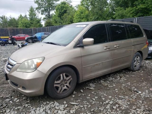 2006 Honda Odyssey EXL