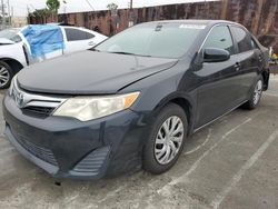 Salvage cars for sale at Wilmington, CA auction: 2013 Toyota Camry L