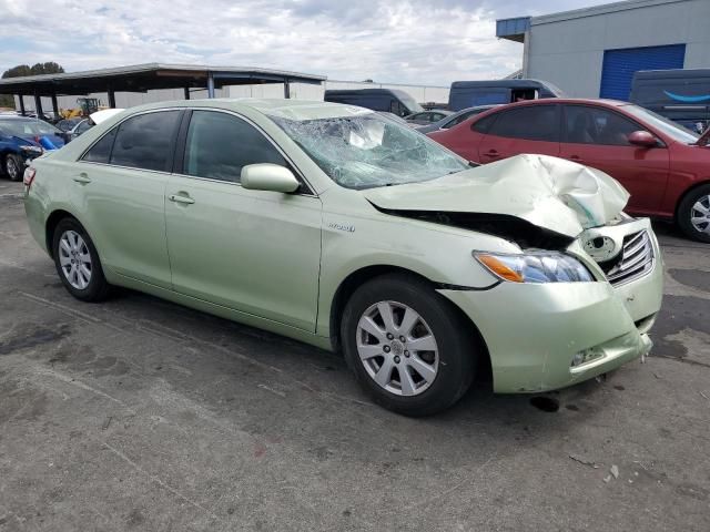 2009 Toyota Camry Hybrid