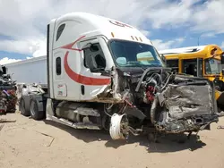 Salvage trucks for sale at Albuquerque, NM auction: 2023 Freightliner Cascadia 126