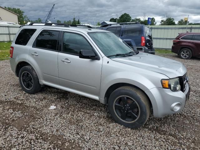 2009 Ford Escape XLT