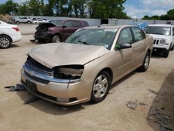 Chevrolet salvage cars for sale: 2005 Chevrolet Malibu LT