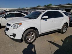 Salvage cars for sale at Louisville, KY auction: 2010 Chevrolet Equinox LT