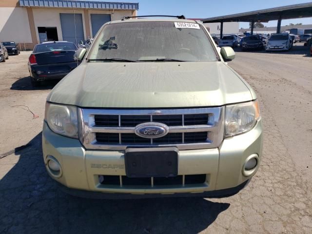 2009 Ford Escape Hybrid