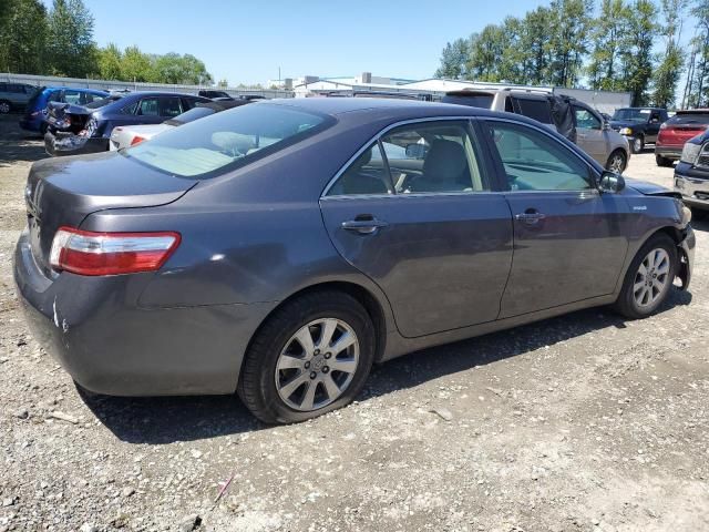 2009 Toyota Camry Hybrid