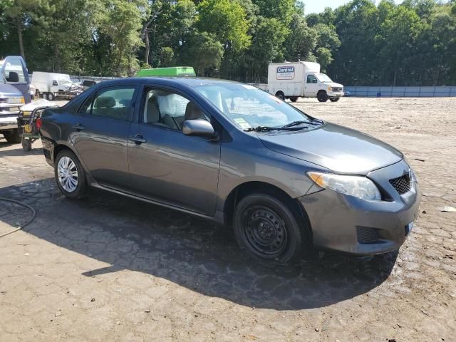 2010 Toyota Corolla Base