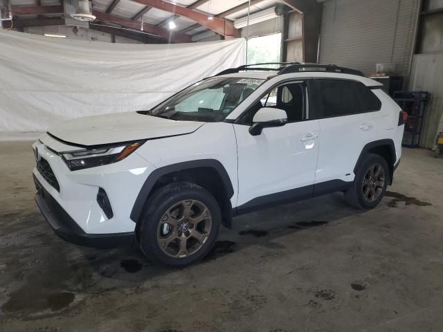 2023 Toyota Rav4 Woodland Edition