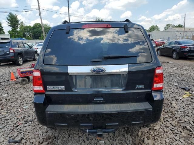 2011 Ford Escape Limited