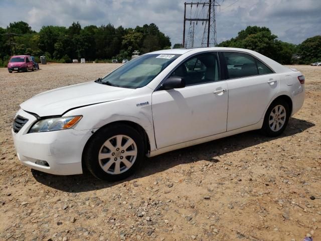 2009 Toyota Camry Hybrid