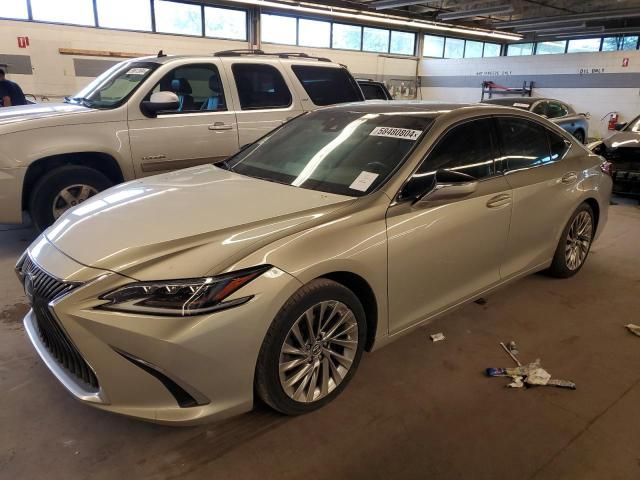 2019 Lexus ES 350