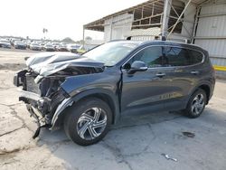 Salvage cars for sale from Copart Corpus Christi, TX: 2023 Hyundai Santa FE SEL