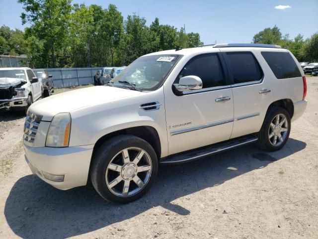 2007 Cadillac Escalade Luxury