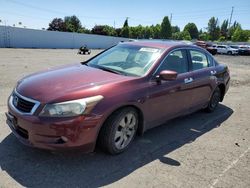 Honda salvage cars for sale: 2009 Honda Accord EXL