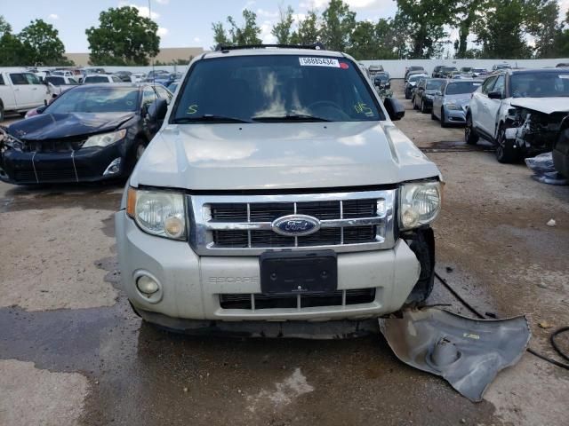 2009 Ford Escape XLT