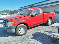 Vehiculos salvage en venta de Copart Lumberton, NC: 2013 Ford F150