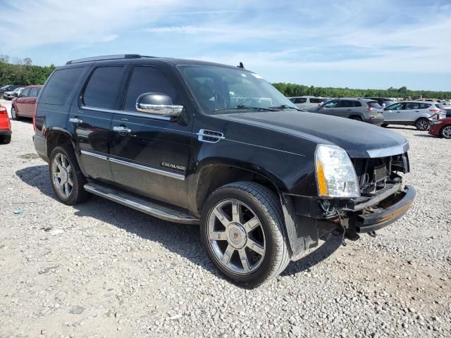 2014 Cadillac Escalade Luxury