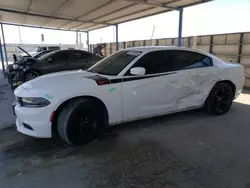 Salvage cars for sale at Anthony, TX auction: 2017 Dodge Charger SXT