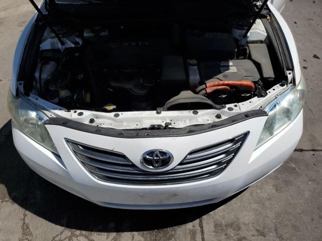 2009 Toyota Camry Hybrid