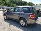 2012 Ford Escape XLS