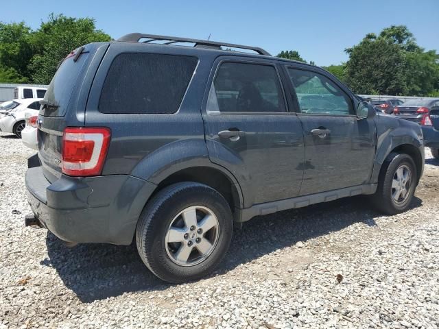 2009 Ford Escape XLT