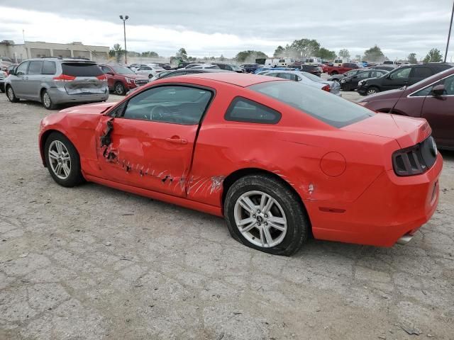 2013 Ford Mustang