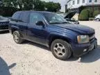 2008 Chevrolet Trailblazer LS