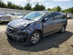 Honda salvage cars for sale: 2014 Honda Odyssey EXL