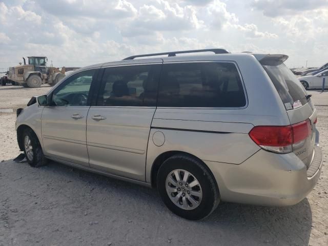 2008 Honda Odyssey EXL