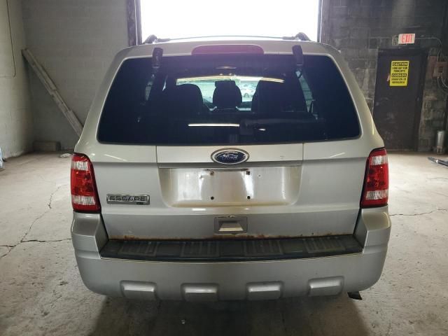 2010 Ford Escape XLT