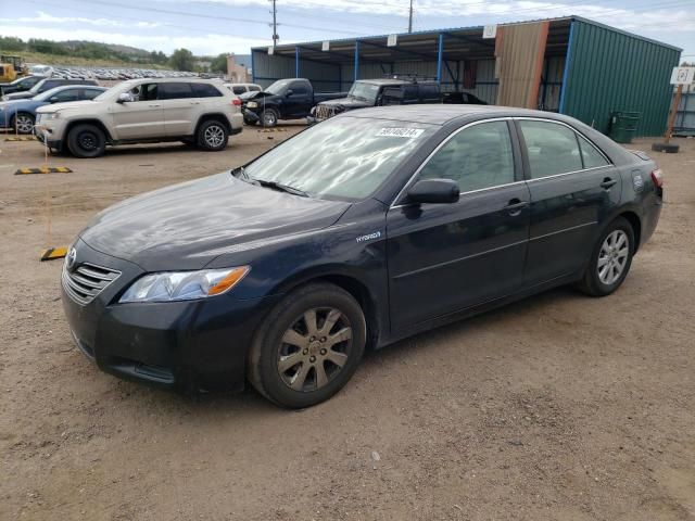 2009 Toyota Camry Hybrid