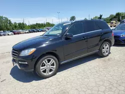 Mercedes-Benz salvage cars for sale: 2014 Mercedes-Benz ML 350 4matic