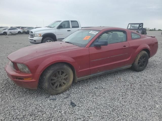 2007 Ford Mustang