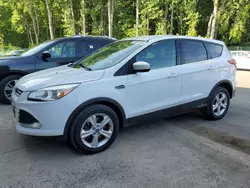 Salvage cars for sale at East Granby, CT auction: 2013 Ford Escape SE