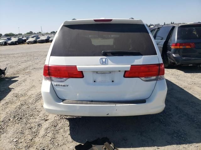 2010 Honda Odyssey EXL