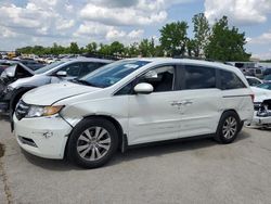 Honda salvage cars for sale: 2014 Honda Odyssey EXL