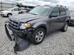 Salvage cars for sale at Cahokia Heights, IL auction: 2011 Ford Escape XLT