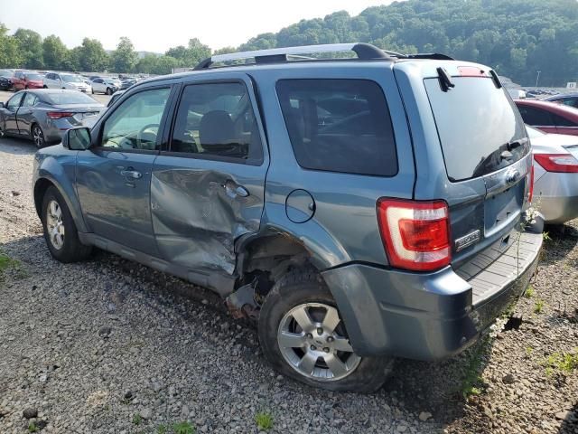 2011 Ford Escape Limited