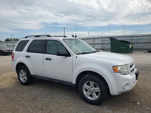 2010 Ford Escape Hybrid