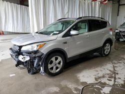 Salvage cars for sale at Albany, NY auction: 2016 Ford Escape SE