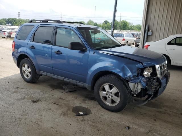 2009 Ford Escape XLT