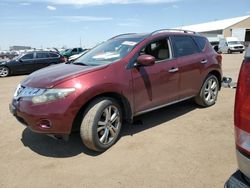 Salvage cars for sale at Brighton, CO auction: 2010 Nissan Murano S