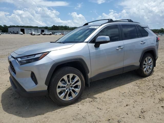 2024 Toyota Rav4 XLE Premium