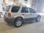 2006 Ford Escape XLT