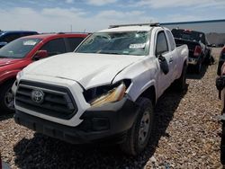 Salvage cars for sale at Phoenix, AZ auction: 2023 Toyota Tacoma Access Cab