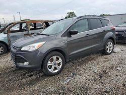 Ford Escape se Vehiculos salvage en venta: 2015 Ford Escape SE