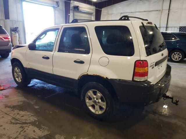 2007 Ford Escape XLT