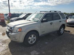 Ford Vehiculos salvage en venta: 2008 Ford Escape XLT