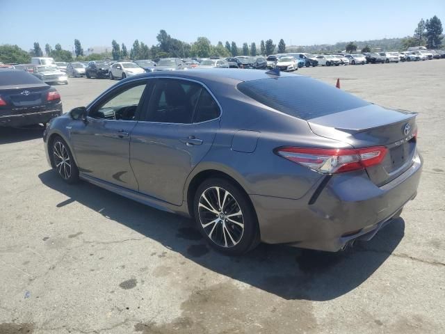 2019 Toyota Camry Hybrid