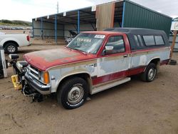 Salvage cars for sale at Colorado Springs, CO auction: 1989 Dodge Dakota